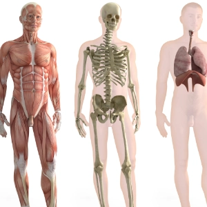 Quiz z Biologii klasa 7: podsumowanie