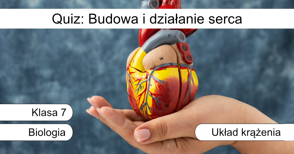 Quiz: Budowa i działanie serca