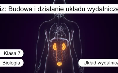 Quiz: Budowa i działanie układu wydalniczego