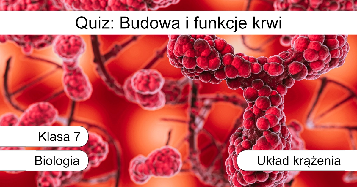 Quiz: Budowa i funkcje krwi