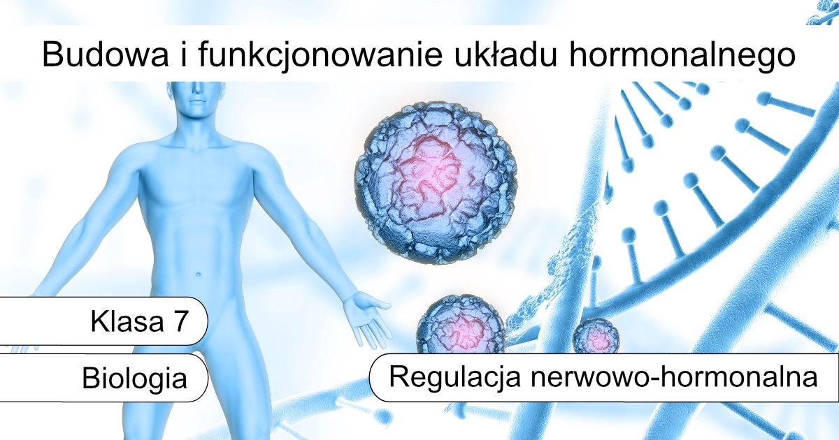 Quiz: Budowa i funkcjonowanie układu hormonalnego