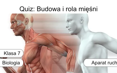 Quiz: Budowa i rola mięśni