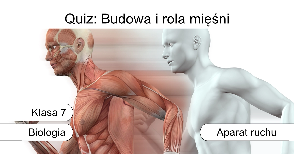 Quiz: Budowa i rola mięśni