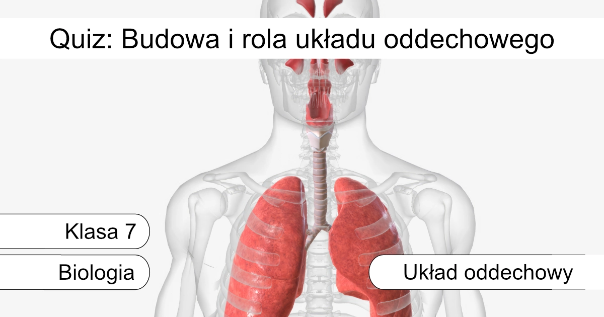 Quiz: Budowa i rola układu oddechowego