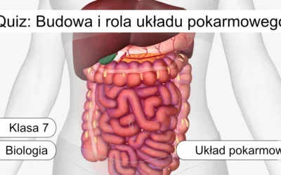 Quiz: Budowa i rola układu pokarmowego