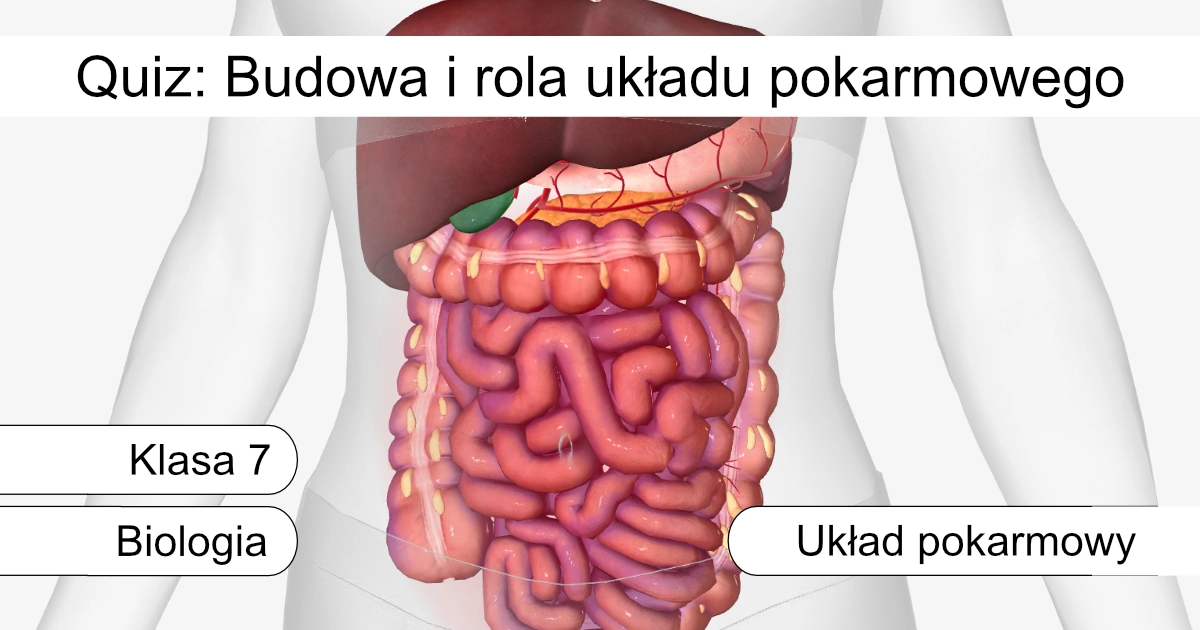 Quiz: Budowa i rola układu pokarmowego