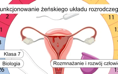 Quiz: Funkcjonowanie żeńskiego układu rozrodczego