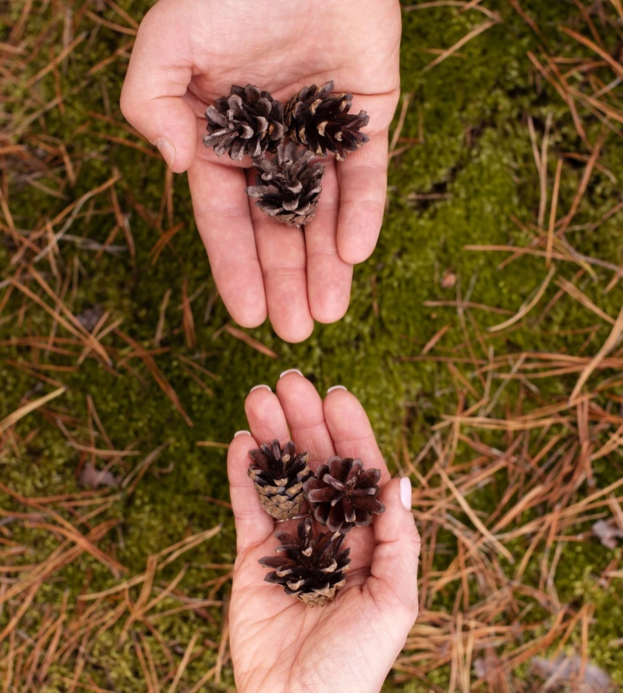 Quiz: Ochrona środowiska przyrodniczego