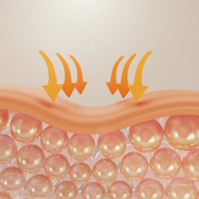 Quiz: Budowa i funkcje skóry