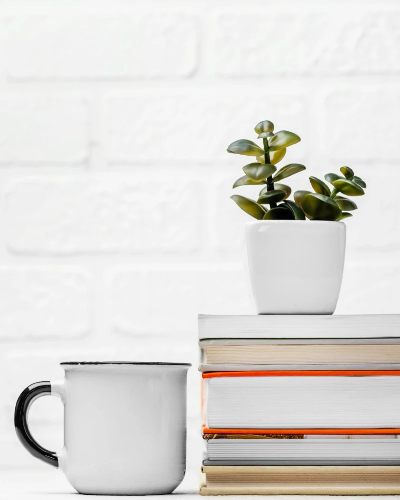 Quiz: Wzajemność oddziaływań