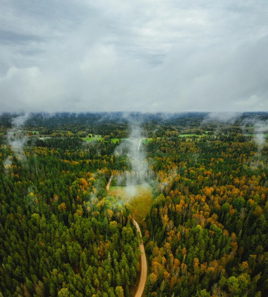 Quiz: Cechy klimatu Polski