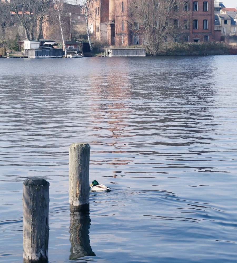 Quiz: Wody powierzchniowe w Polsce i Europie