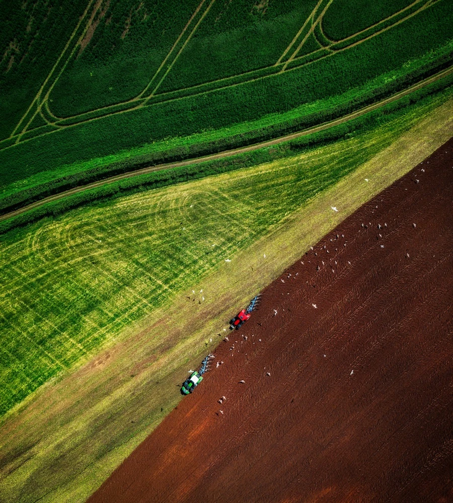 Quiz: Rolnictwo i przemysł Polski: podsumowanie