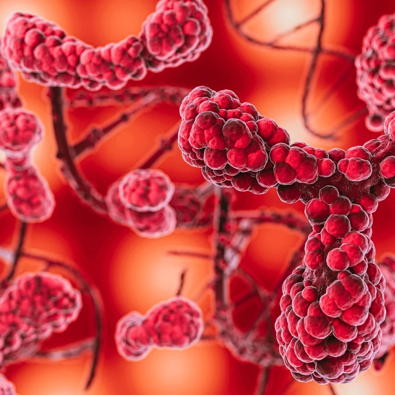 Quiz: Budowa i funkcje krwi