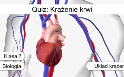 Quiz: Krążenie krwi