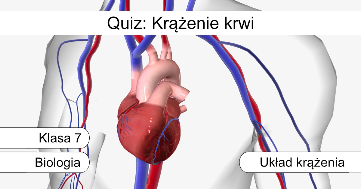 Quiz: Krążenie krwi