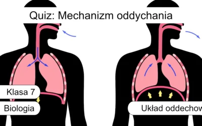 Quiz: Mechanizm oddychania