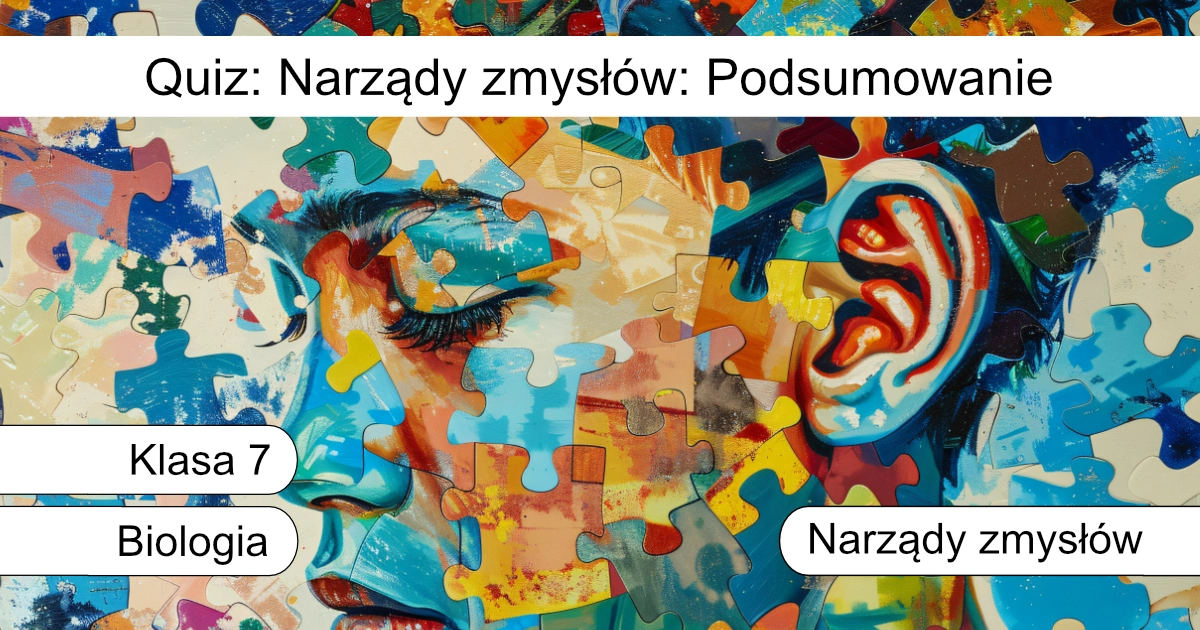 Quiz: Narządy zmysłów: Podsumowanie