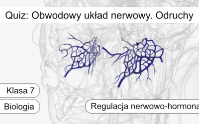 Quiz: Obwodowy układ nerwowy. Odruchy