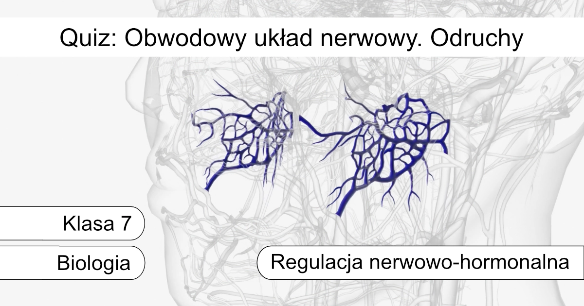Quiz: Obwodowy układ nerwowy. Odruchy