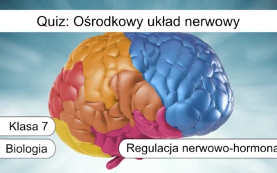 Quiz: Ośrodkowy układ nerwowy