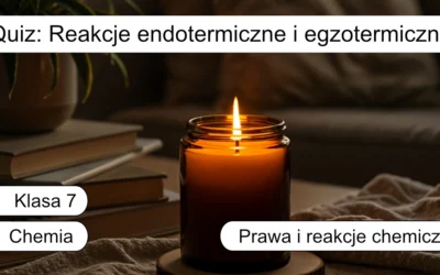 Quiz: Reakcje endotermiczne i egzotermiczne