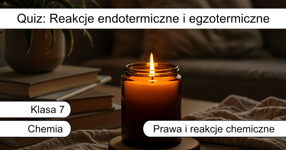Quiz: Reakcje endotermiczne i egzotermiczne