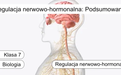Quiz: Regulacja nerwowo-hormonalna: Podsumowanie