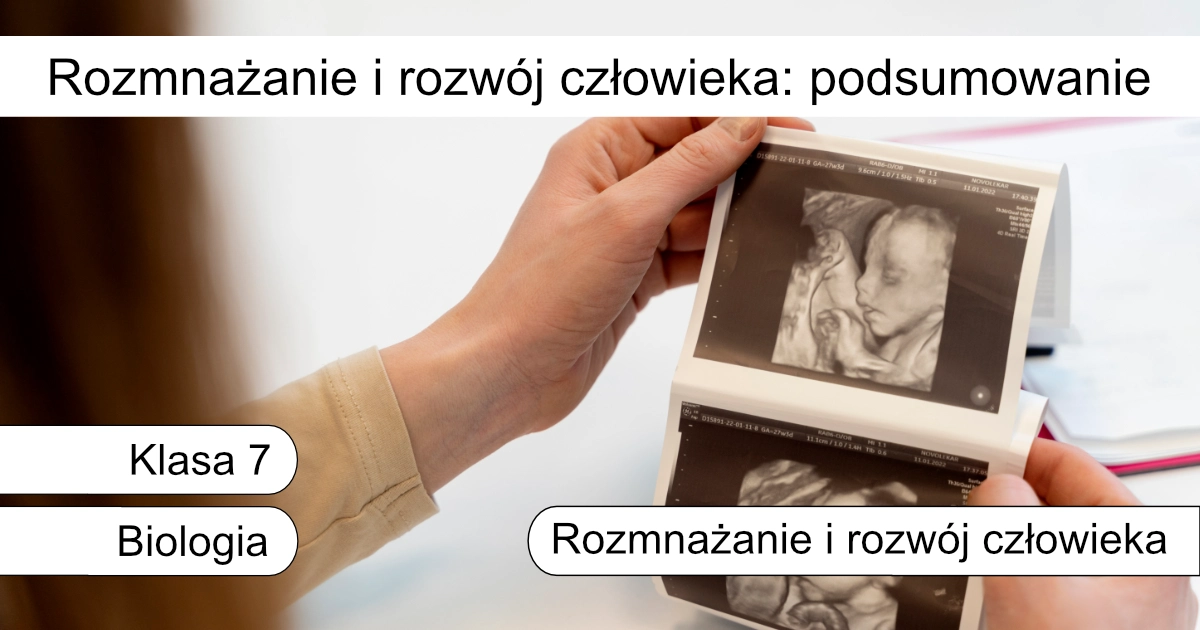 Quiz: Rozmnażanie i rozwój człowieka: podsumowanie