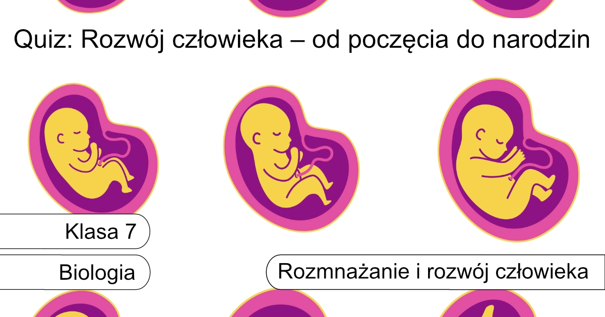 Quiz: Rozwój człowieka – od poczęcia do narodzin
