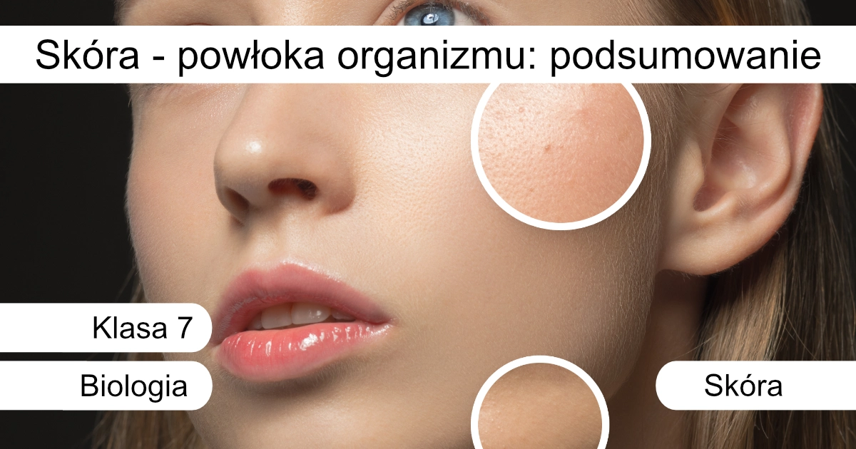 Quiz: Skóra – powłoka organizmu: Podsumowanie