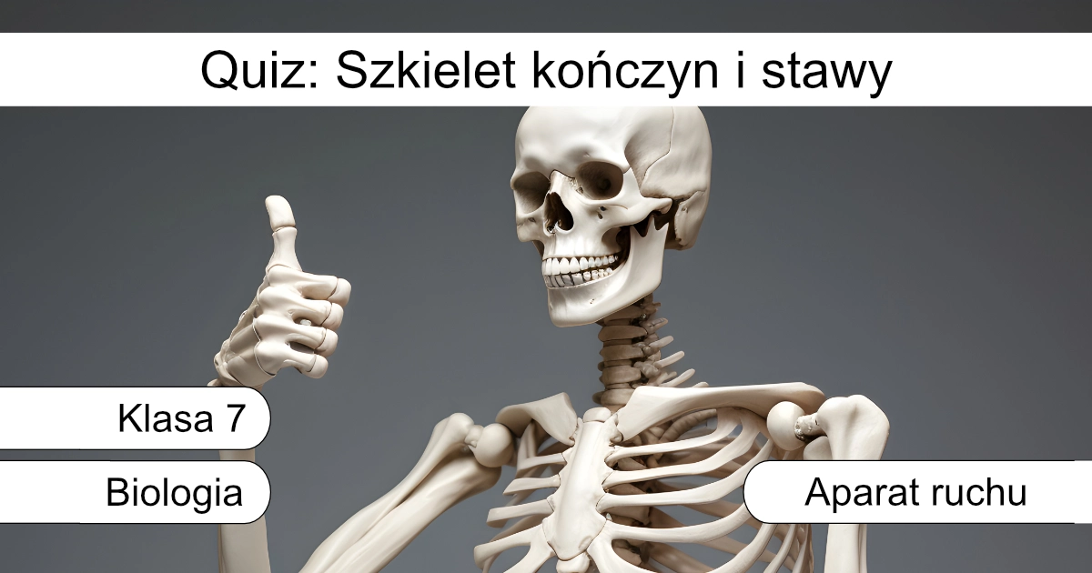 Quiz: Szkielet kończyn i stawy