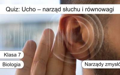 Quiz: Ucho – narząd słuchu i równowagi