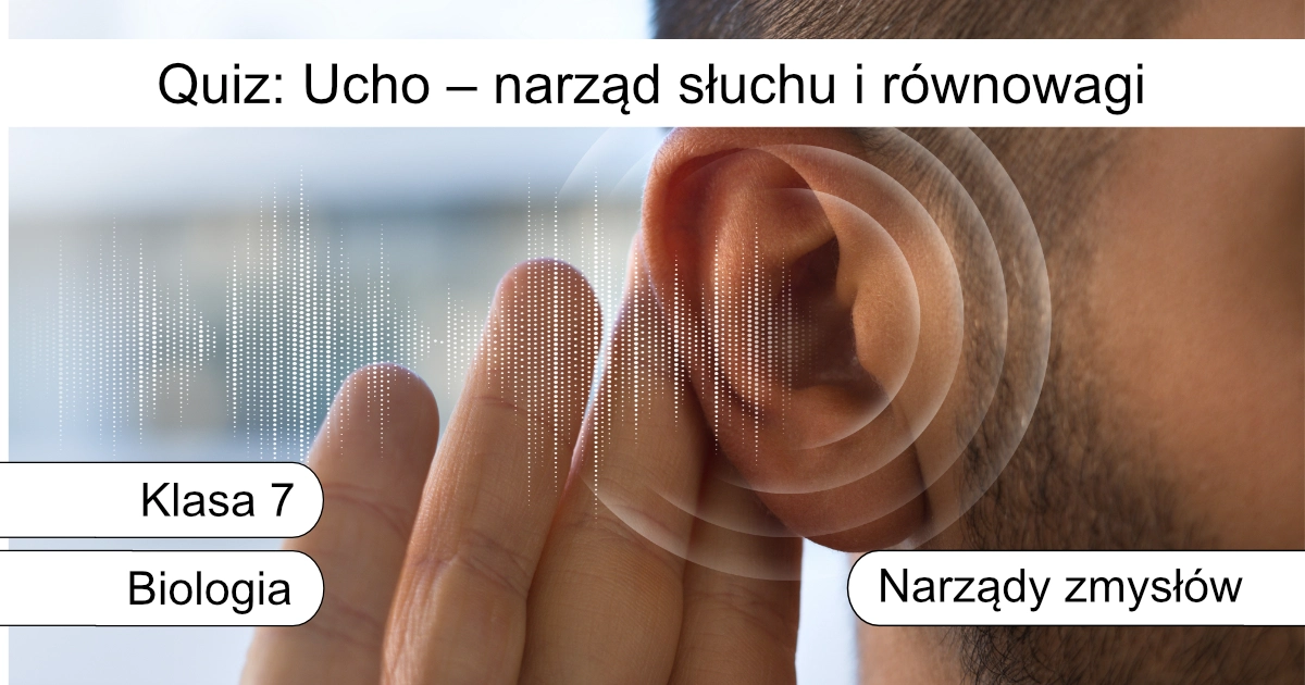 Quiz: Ucho – narząd słuchu i równowagi