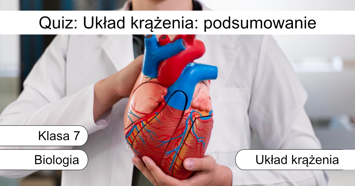 Quiz: Układ krążenia: podsumowanie