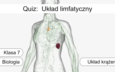 Quiz: Układ limfatyczny