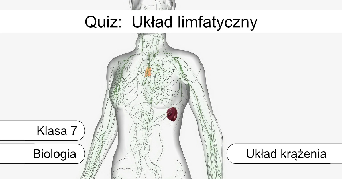 Quiz: Układ limfatyczny