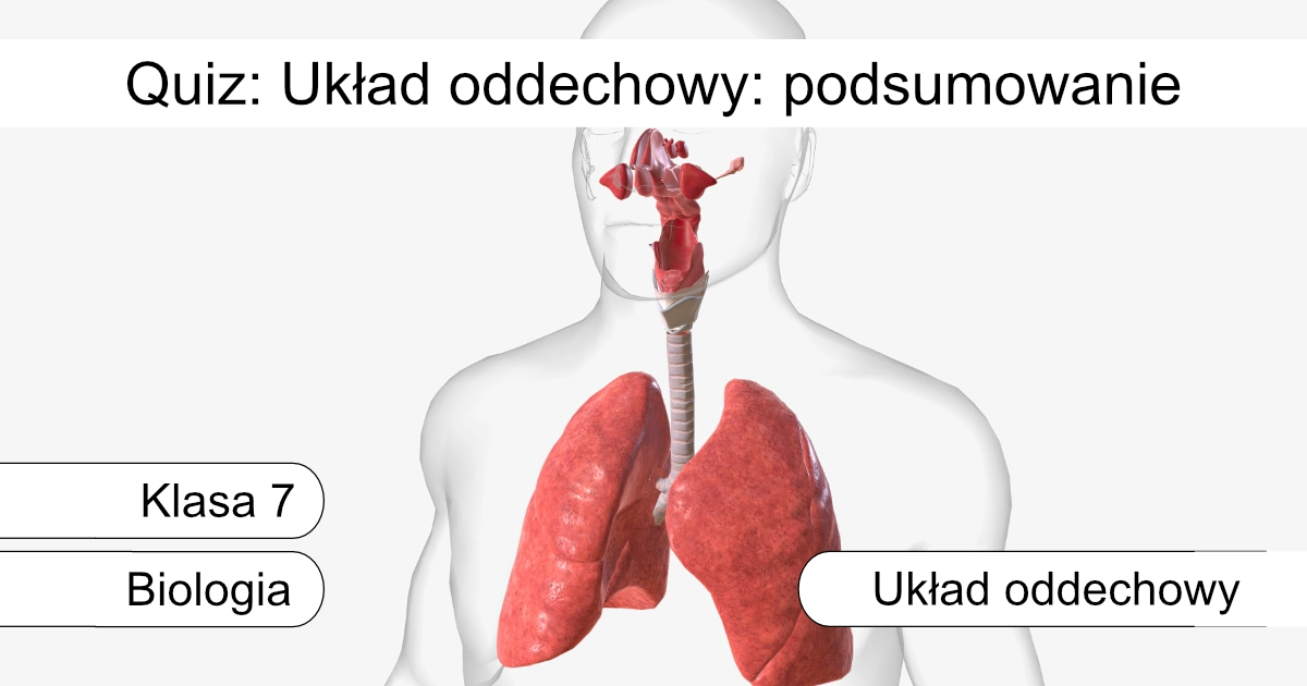Quiz: Układ oddechowy: podsumowanie