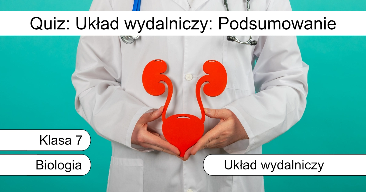 Quiz: Układ wydalniczy: podsumowanie
