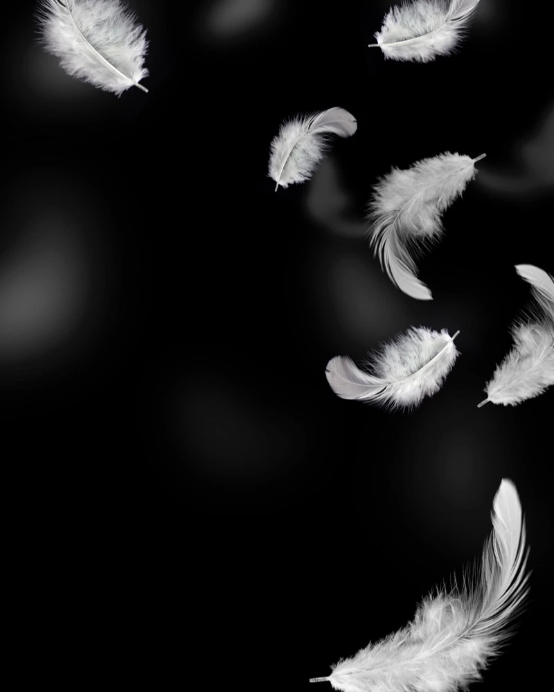 Quiz: Spadek swobodny