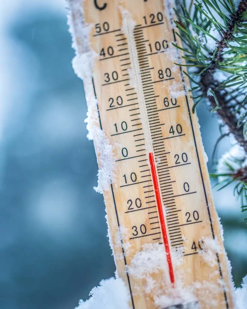 Quiz: Wszystko ma temperaturę