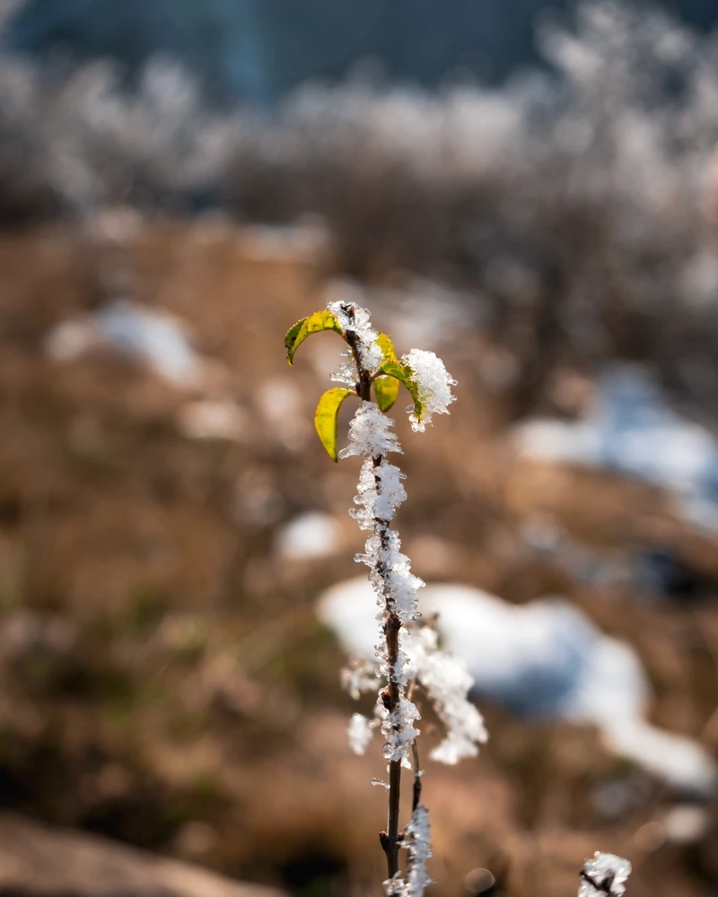 Quiz: Stany skupienia a temperatura