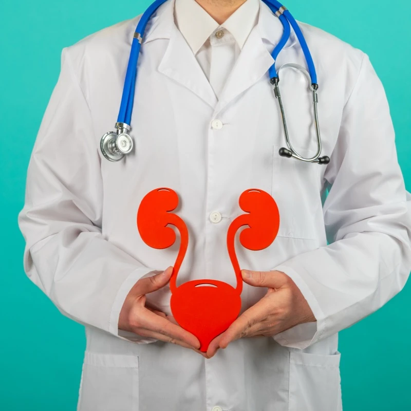 Quiz: Układ wydalniczy: podsumowanie