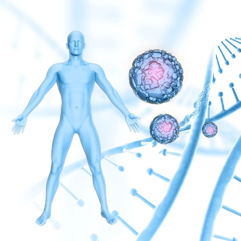 Quiz: Budowa i funkcjonowanie układu hormonalnego
