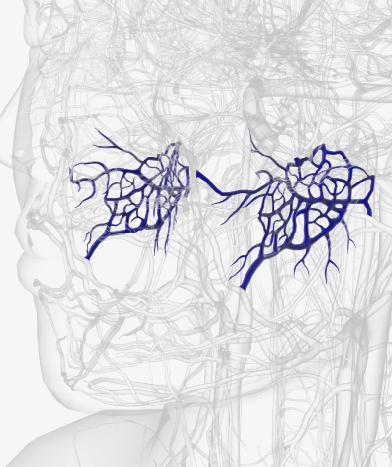 Quiz: Obwodowy układ nerwowy. Odruchy
