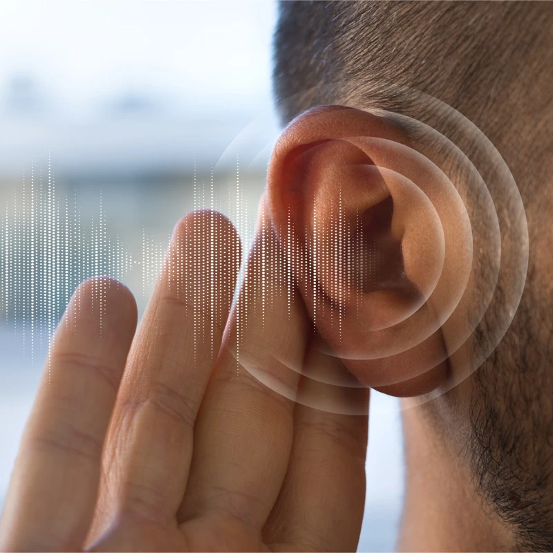 Quiz: Ucho – narząd słuchu i równowagi