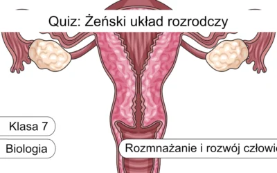 Quiz: Żeński układ rozrodczy