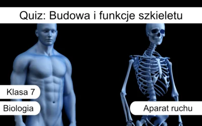 Quiz: Aparat ruchu – budowa i funkcje szkieletu