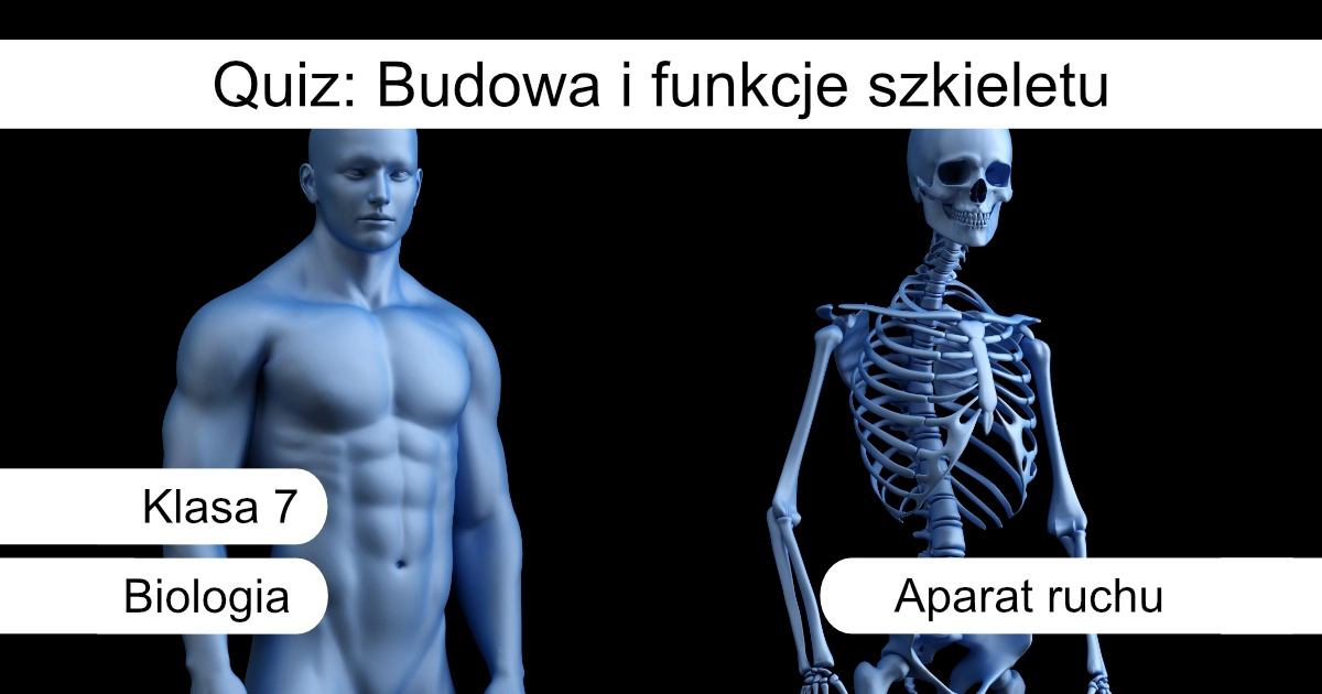 Quiz: Aparat ruchu – budowa i funkcje szkieletu