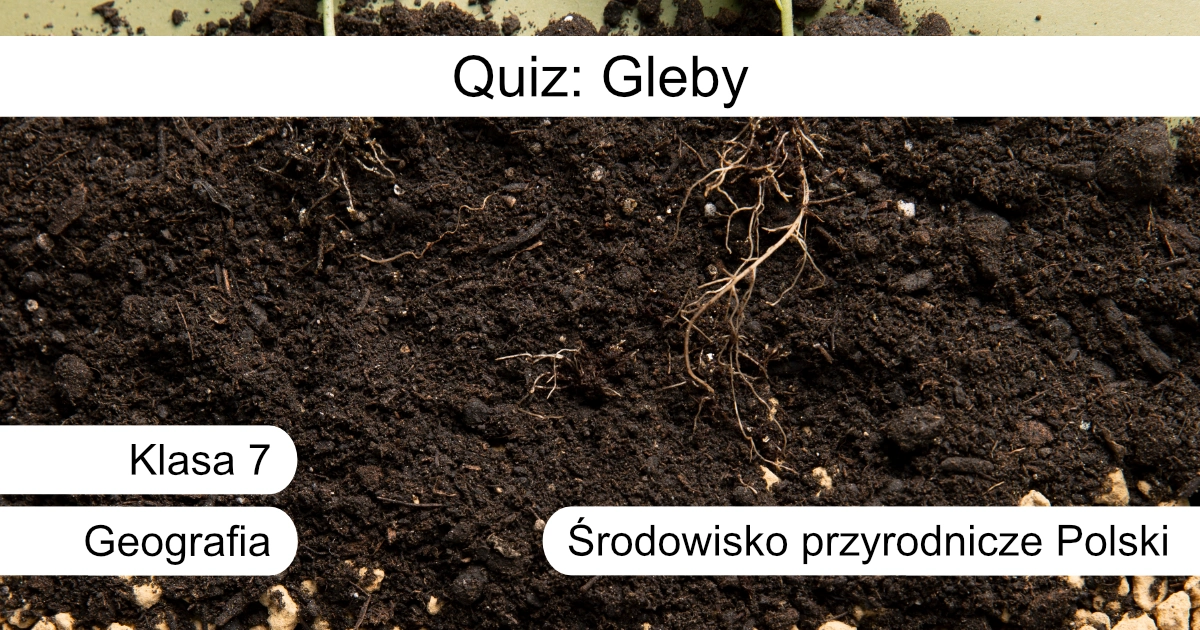 Quiz: Gleby w Polsce